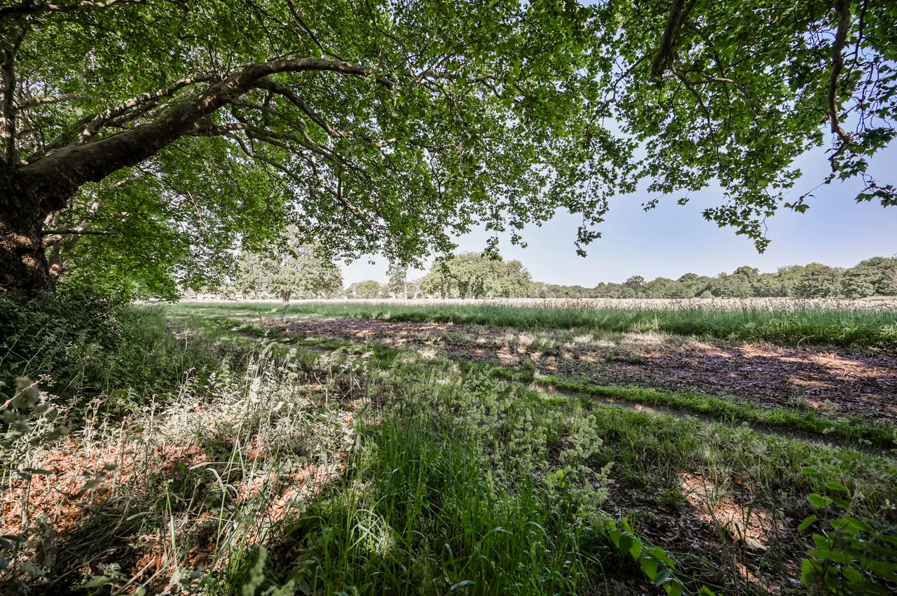 95 Forest View Road, London, photo 7