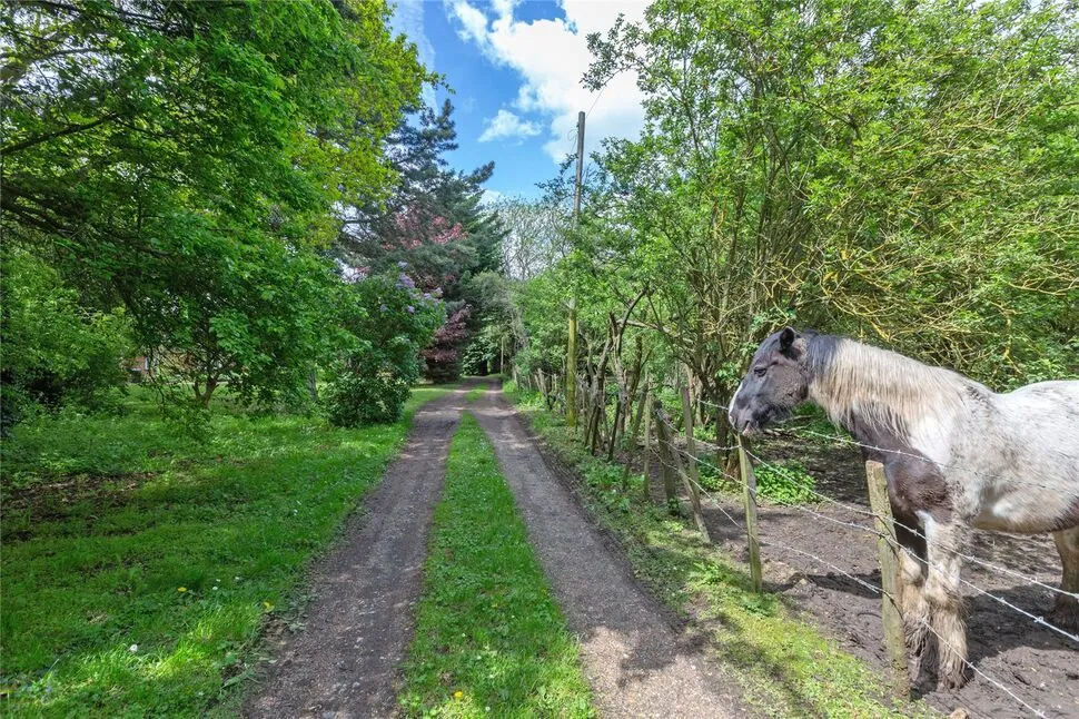 Ash Road, Hartley, DA3, photo 6