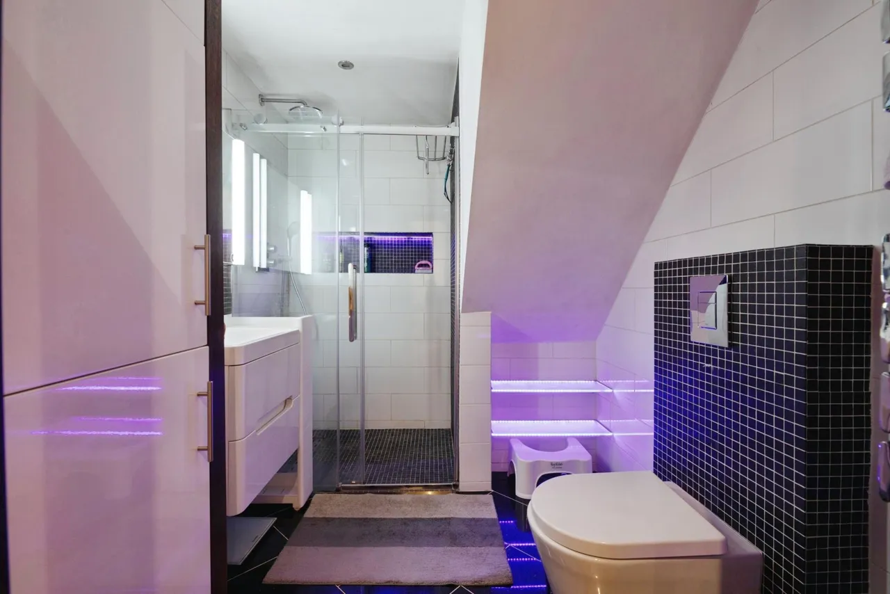 Richmond Road, London, E11, photo 10