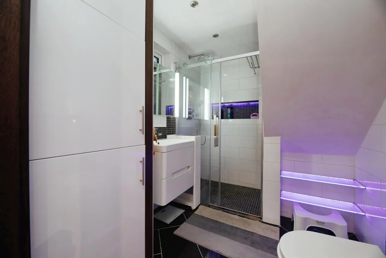 Richmond Road, London, E11, photo 11