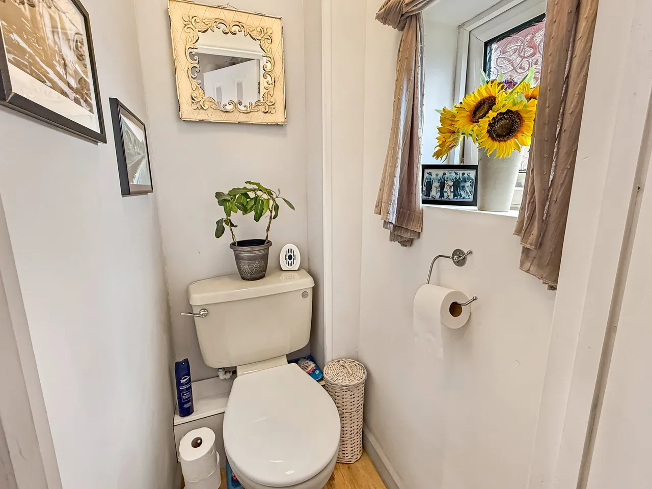 Haybridge Road, Wellington, TF1, photo 12