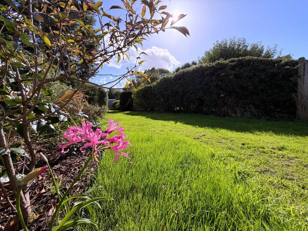 Ypres Road, Allestree, photo 16