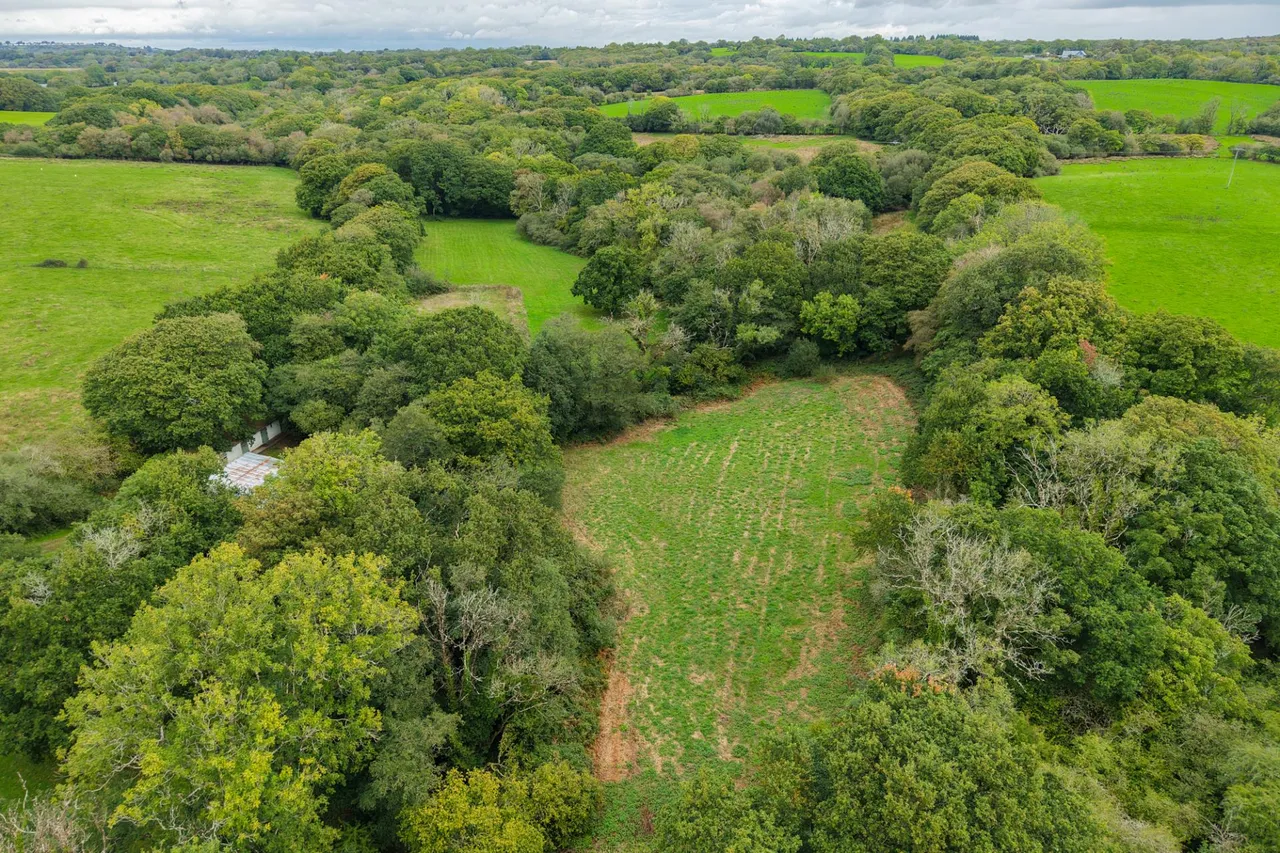 Brookside, Bishopston, photo 49