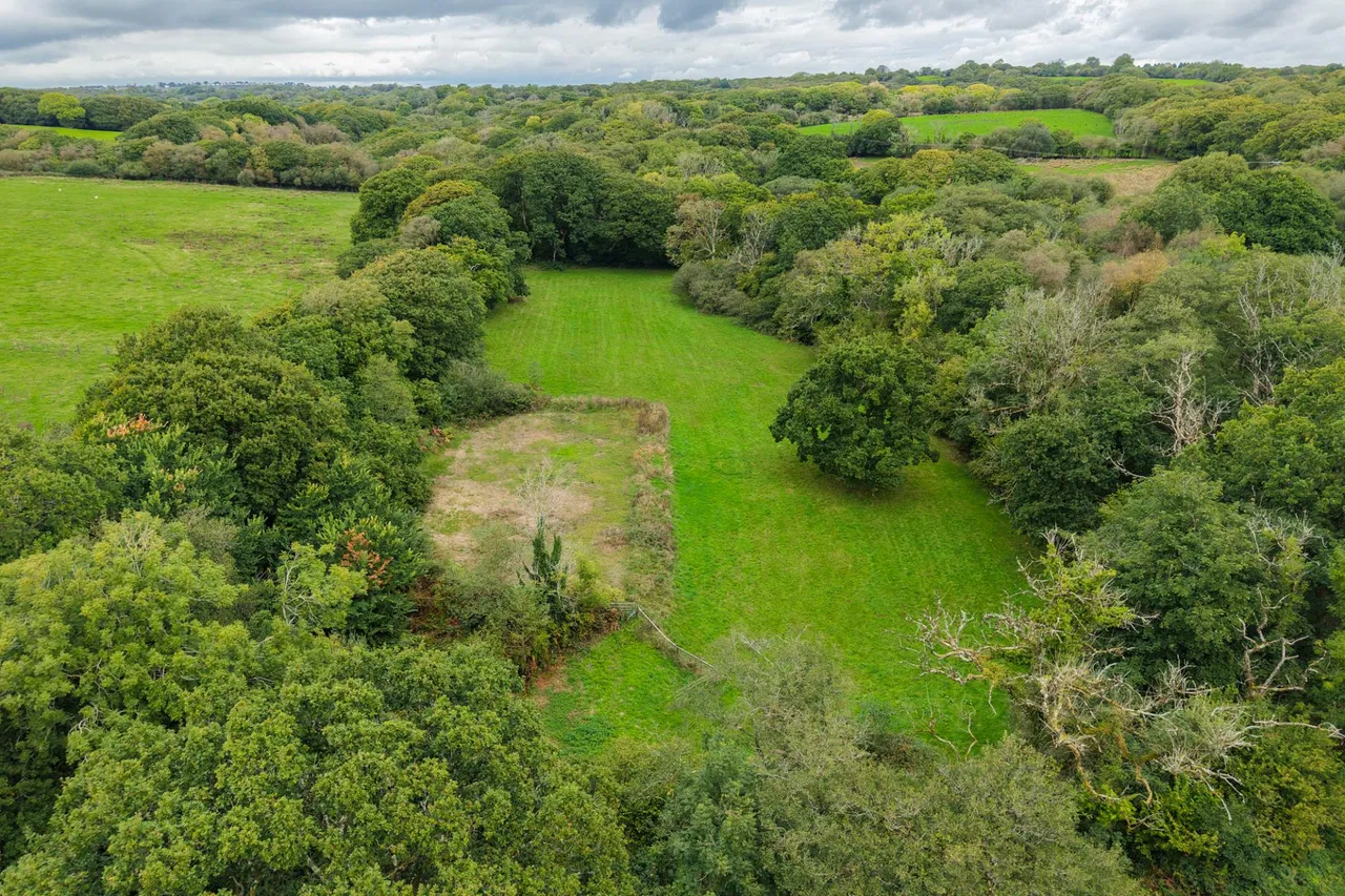 Brookside, Bishopston, photo 50