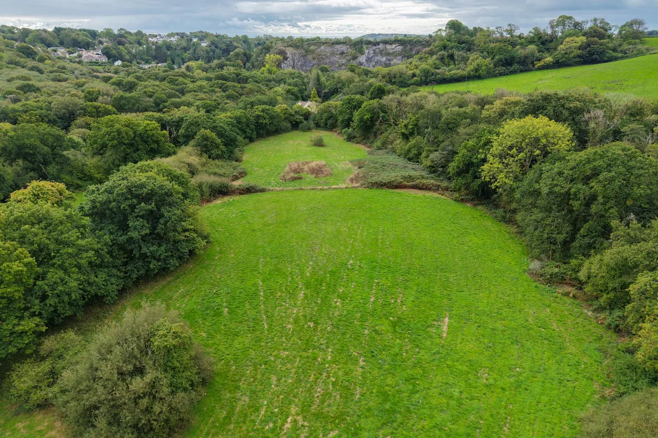 Brookside, Bishopston, photo 47