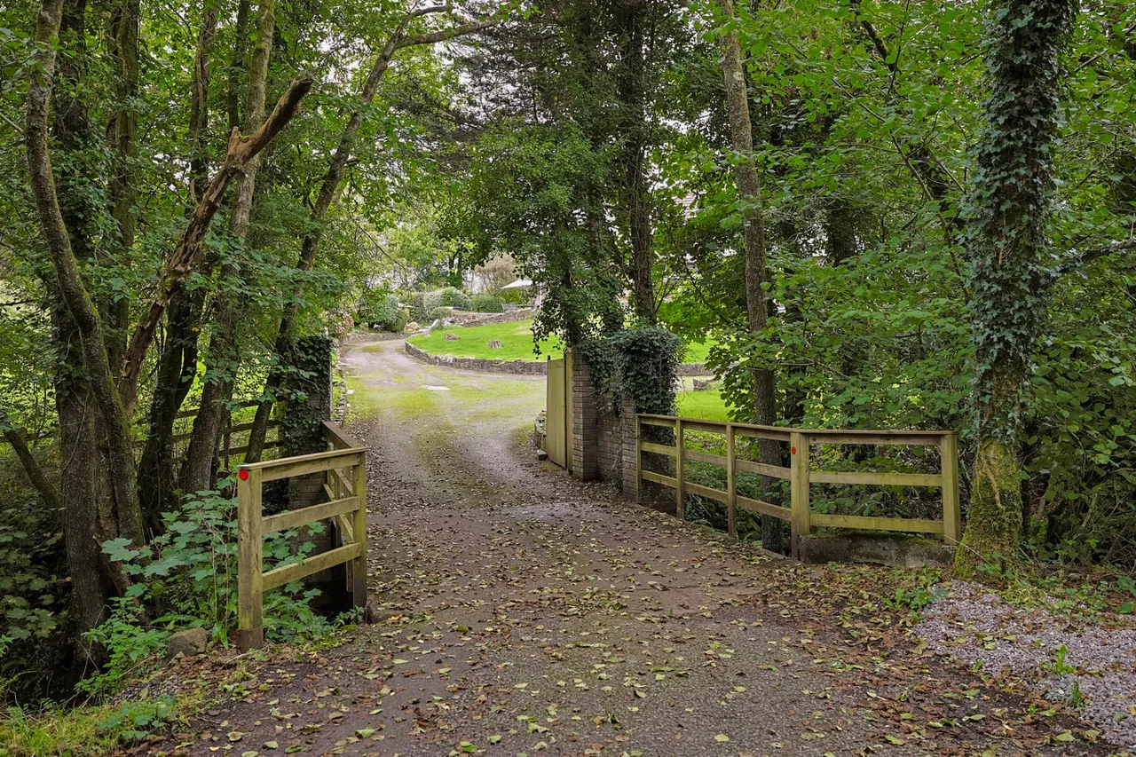 Brookside, Bishopston, photo 58