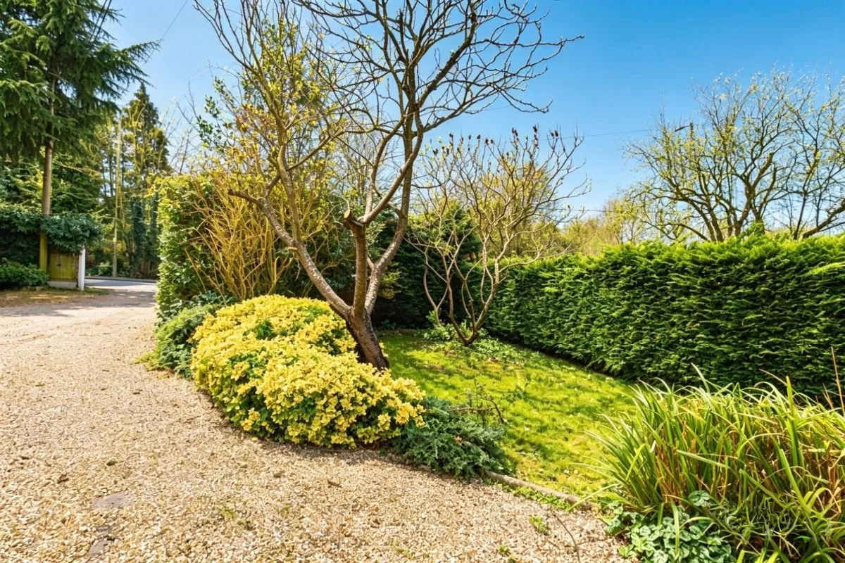 Brentwood Road, Herongate, Brentwood, photo 2