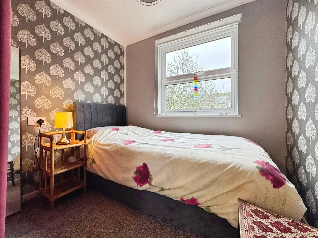 Pengover Park, Liskeard, PL14, photo 9