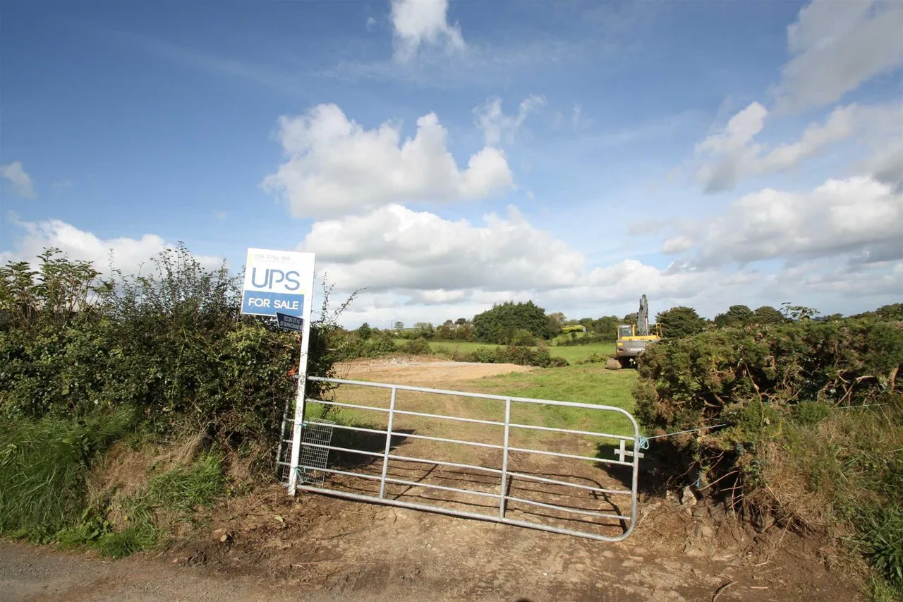 Drumnaconagher Road, Ballynahinch, BT24, photo 9