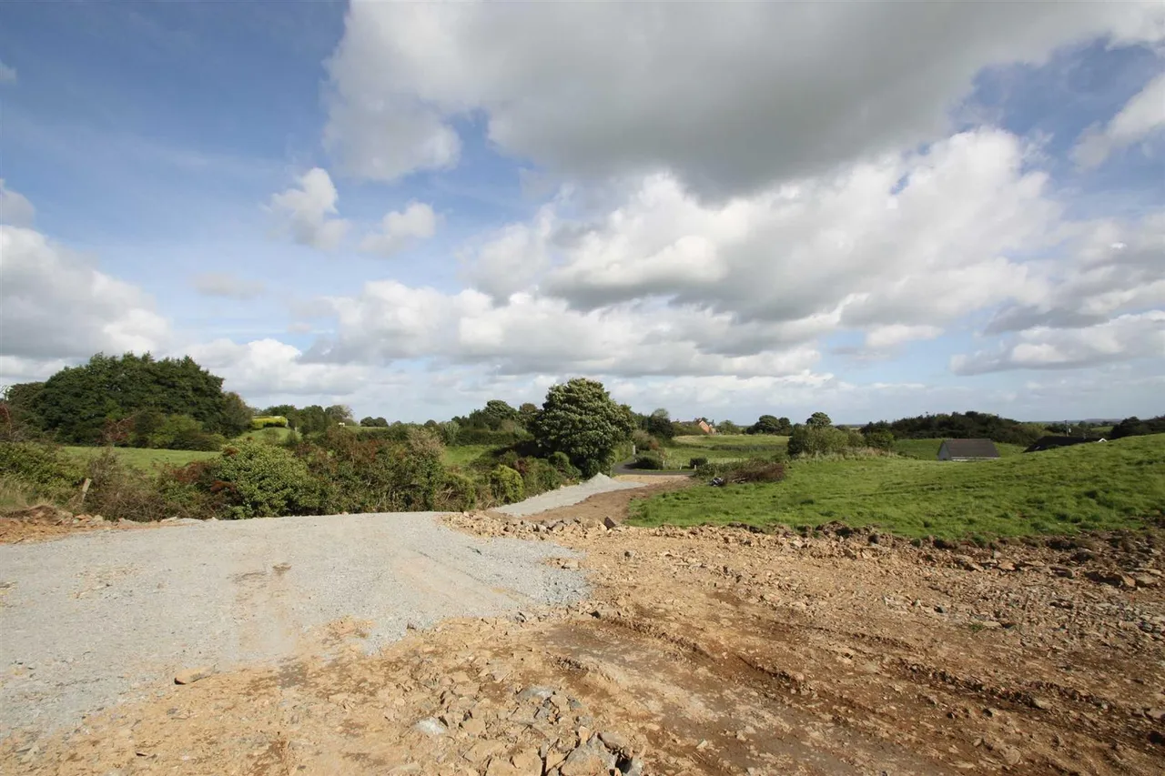 Drumnaconagher Road, Ballynahinch, BT24, photo 5