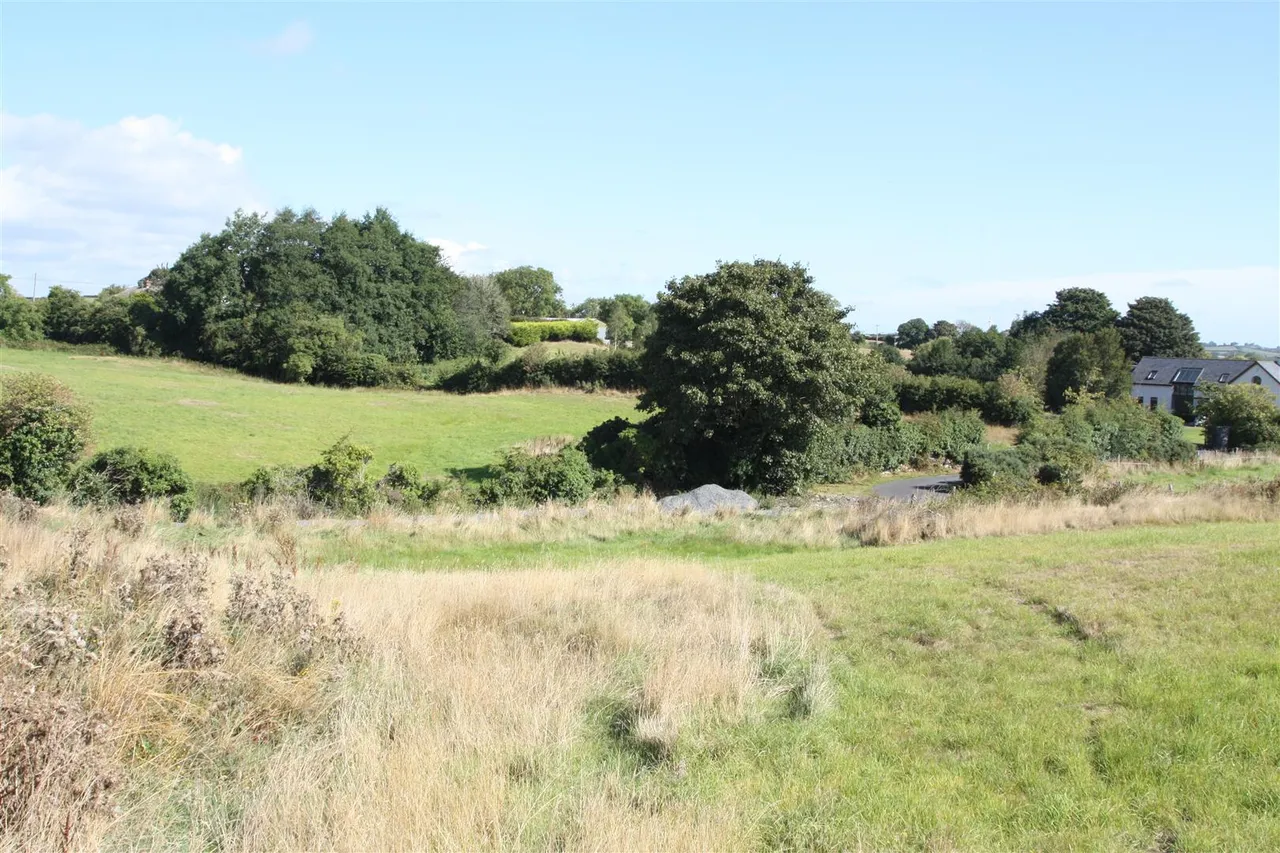 Drumnaconagher Road, Ballynahinch, BT24, photo 16
