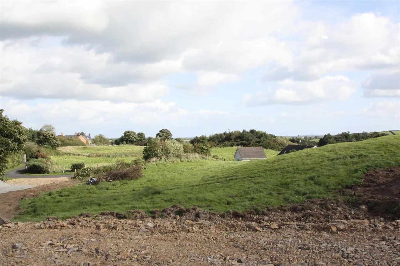 Drumnaconagher Road, Ballynahinch, BT24, photo 7