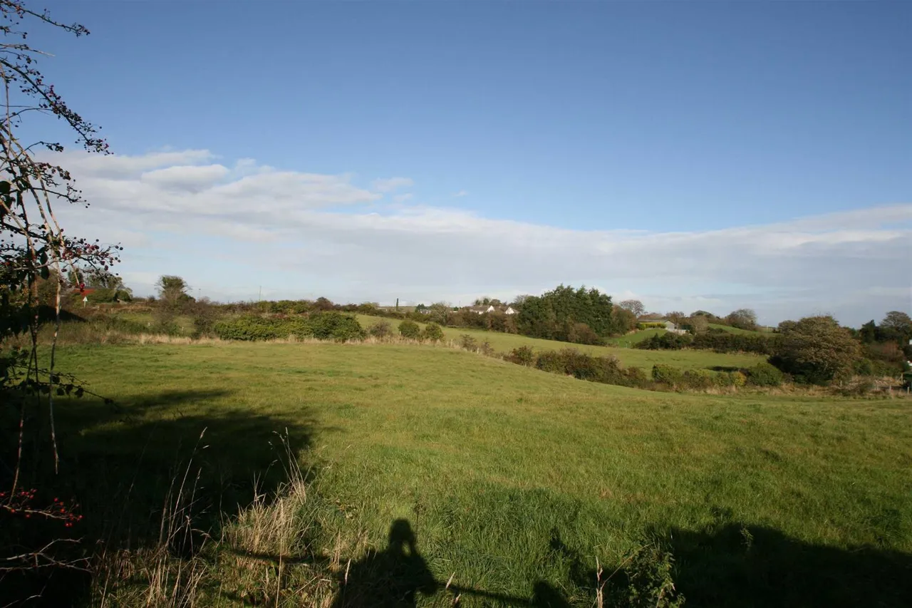 Drumnaconagher Road, Ballynahinch, BT24, photo 10