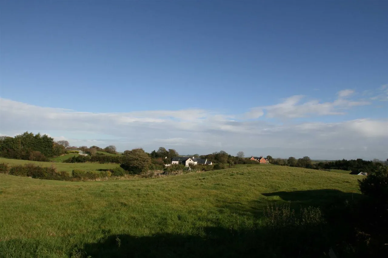 Drumnaconagher Road, Ballynahinch, BT24, photo 11