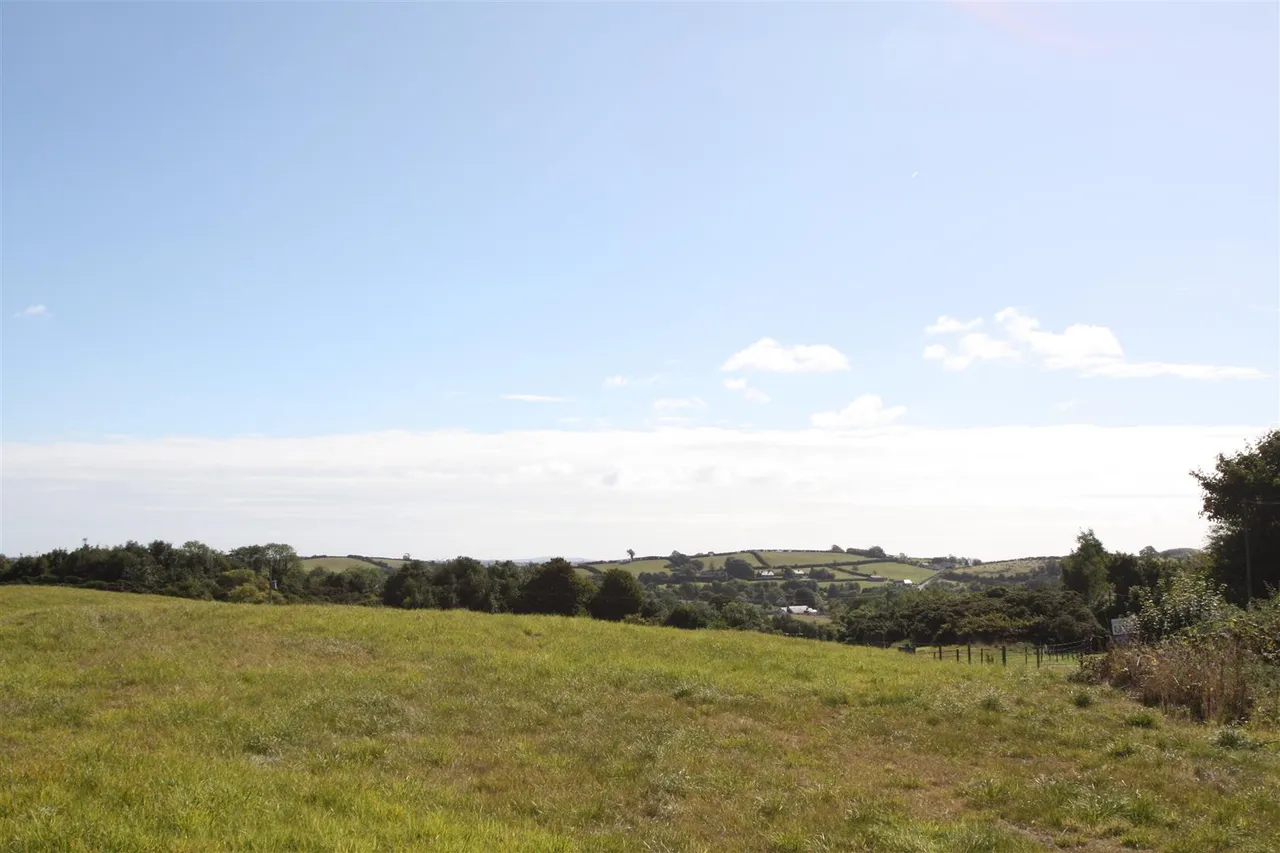 Drumnaconagher Road, Ballynahinch, BT24, photo 14
