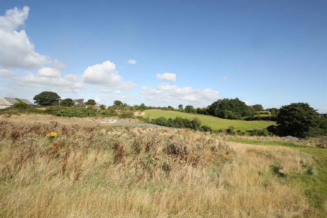 Drumnaconagher Road, Ballynahinch, BT24, photo 15