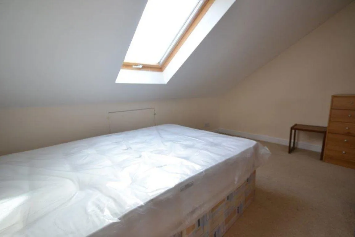 Landseer Road, Leicester, LE2, photo 21