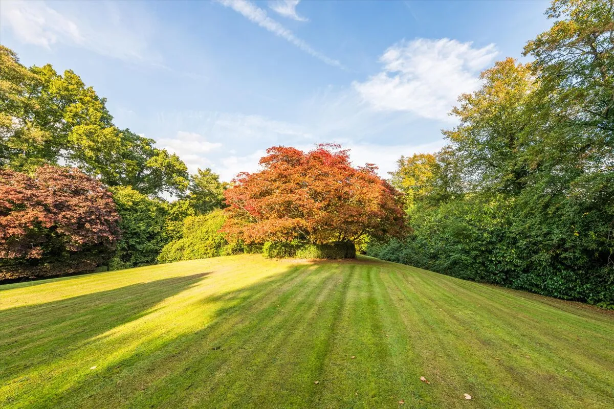 Tidebrook, Wadhurst, TN5, photo 17