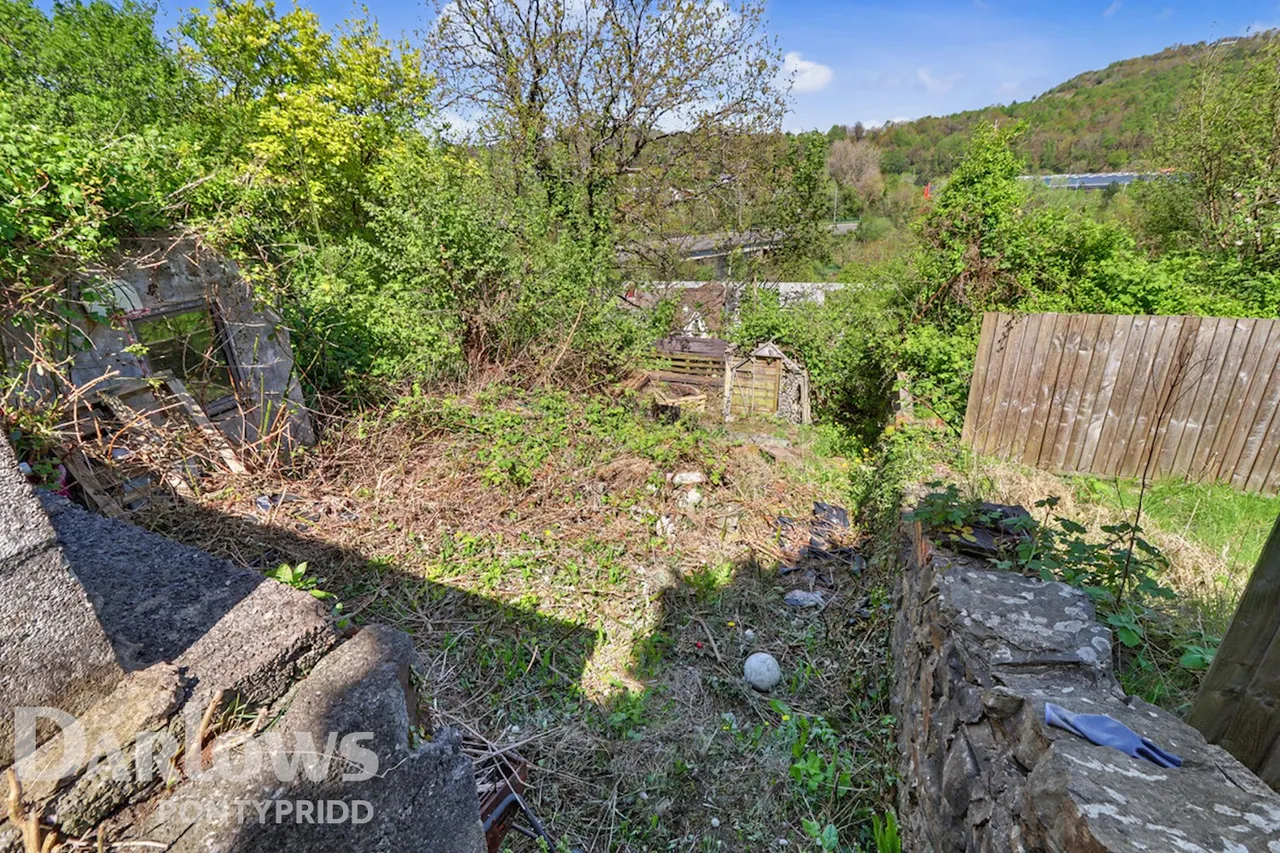 Wood Road, Pontypridd, photo 25