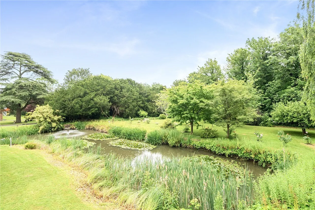Delves Close, Ringmer, BN8, photo 26