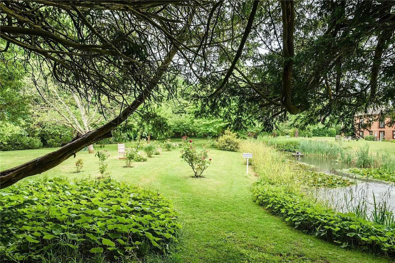 Delves Close, Ringmer, BN8, photo 29