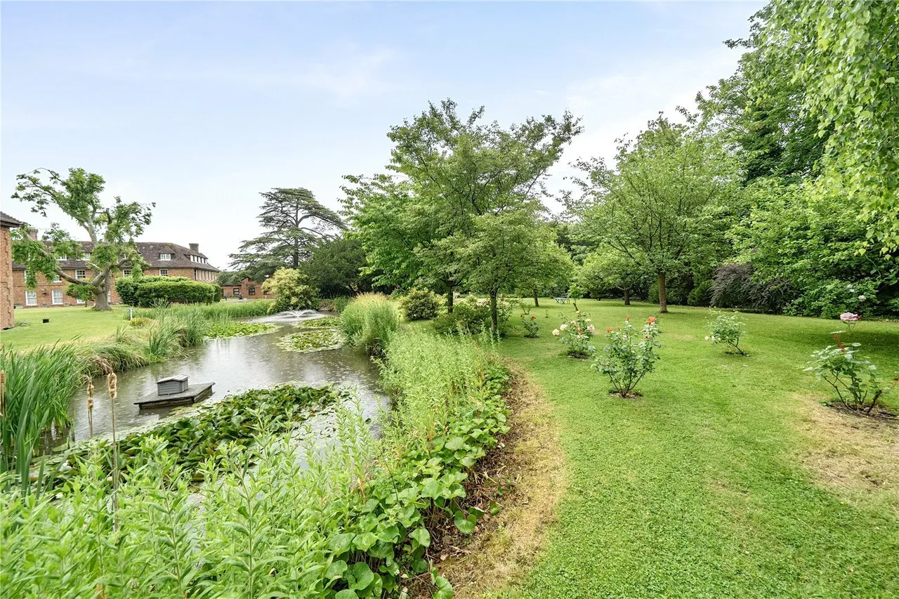 Delves Close, Ringmer, BN8, photo 27