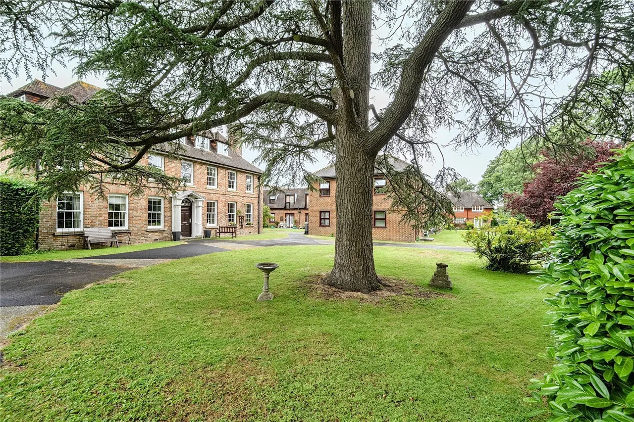 Delves Close, Ringmer, BN8, photo 18