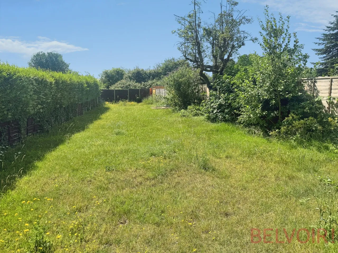Finedon Road, Wellingborough, photo 11