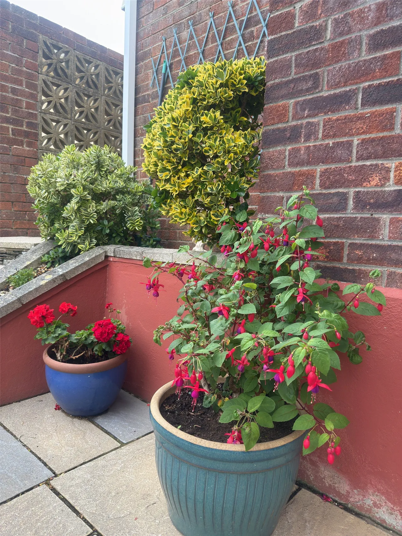 Fern Way, Ilfracombe, EX34, photo 13