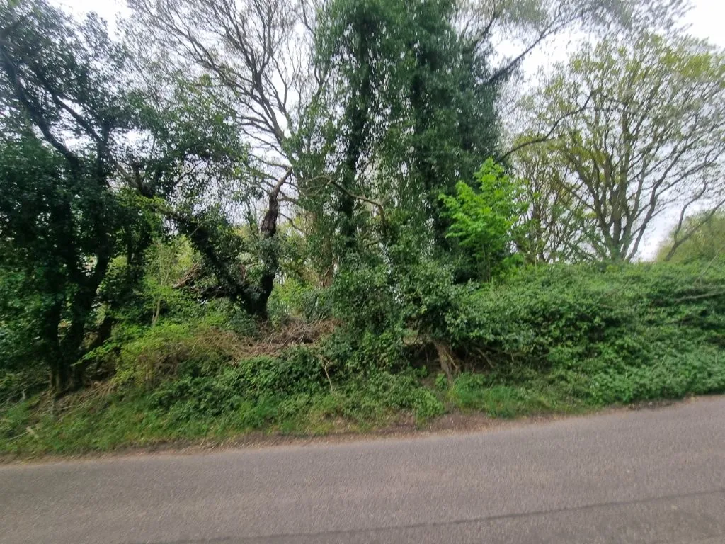 Hyams Lane, Holbrook, IP9, photo 3