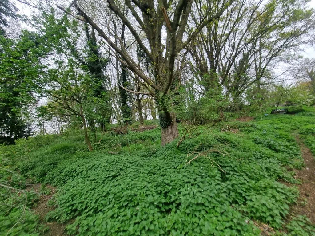 Hyams Lane, Holbrook, IP9, photo 2