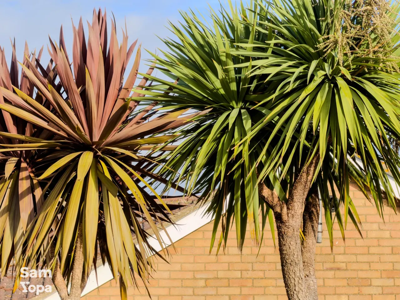 Epping Close, Clacton-on-sea, CO15, photo 5