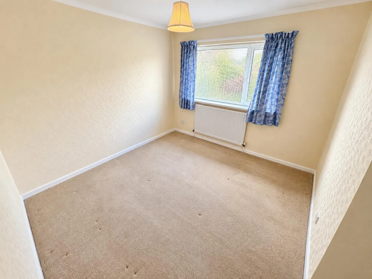 Elm Grove, Broompark, DH7, photo 10