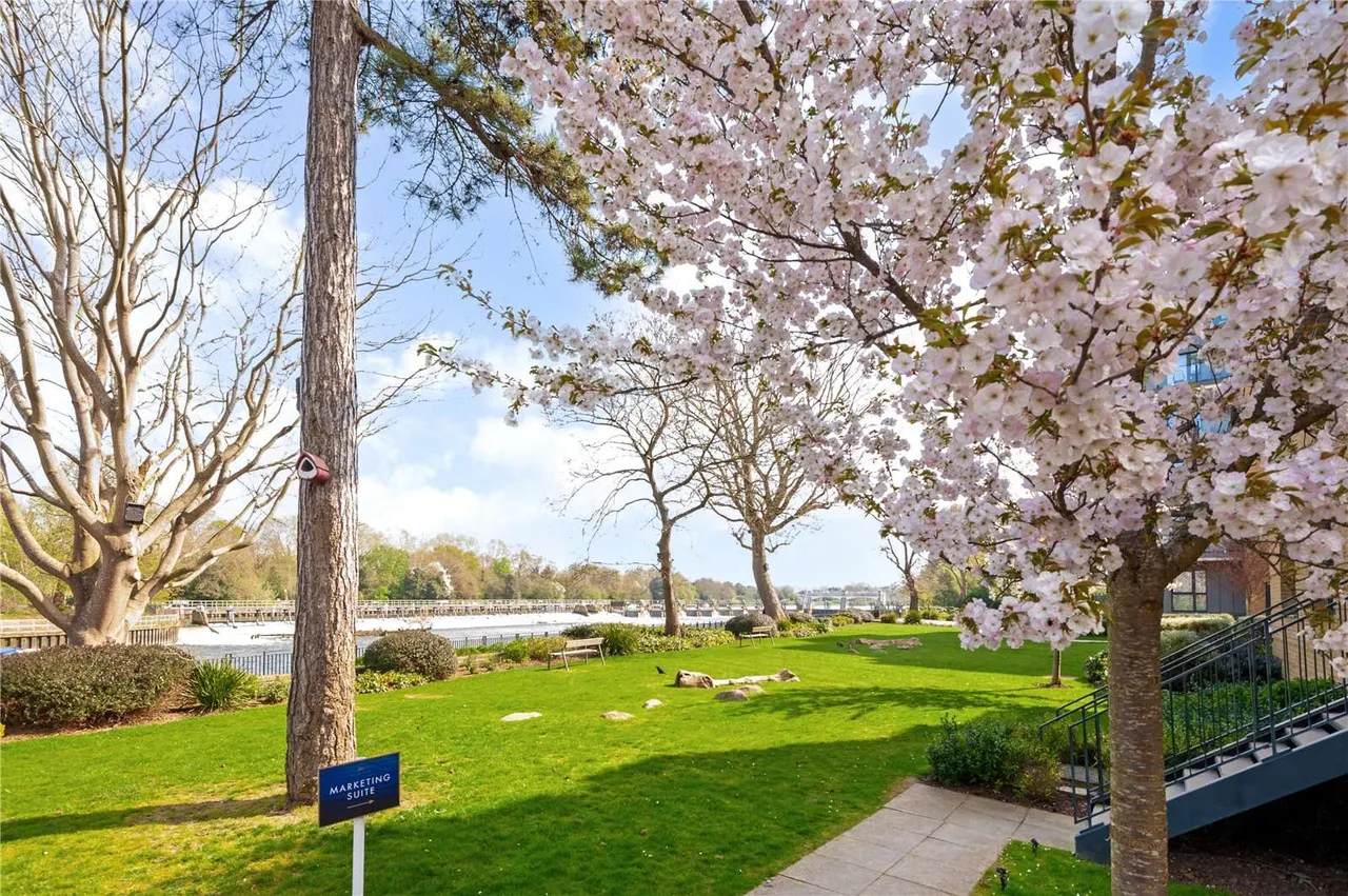 Pinewood Gardens, Teddington, TW11, photo 8