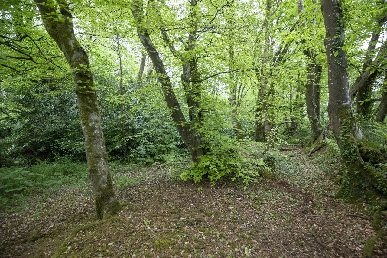 Portfield Gate, Haverfordwest, SA62, photo 38