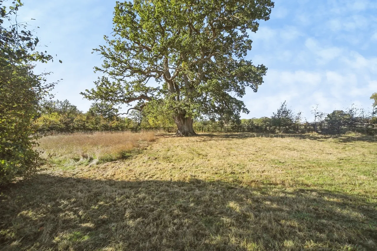 Whepstead, Bury St. Edmunds, IP29, photo 18