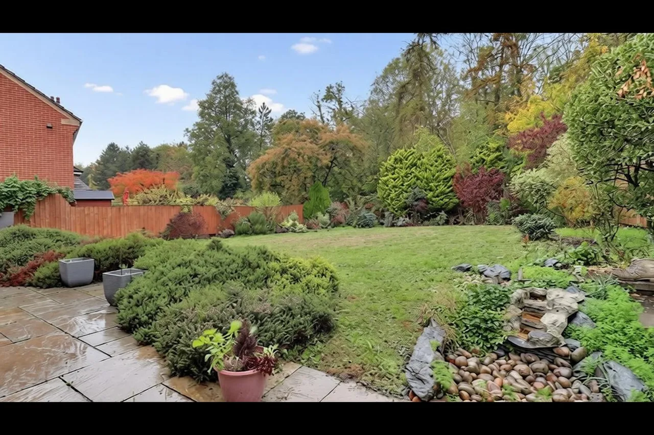 Brunwyn Close, Bury St Edmunds, IP32, photo 14