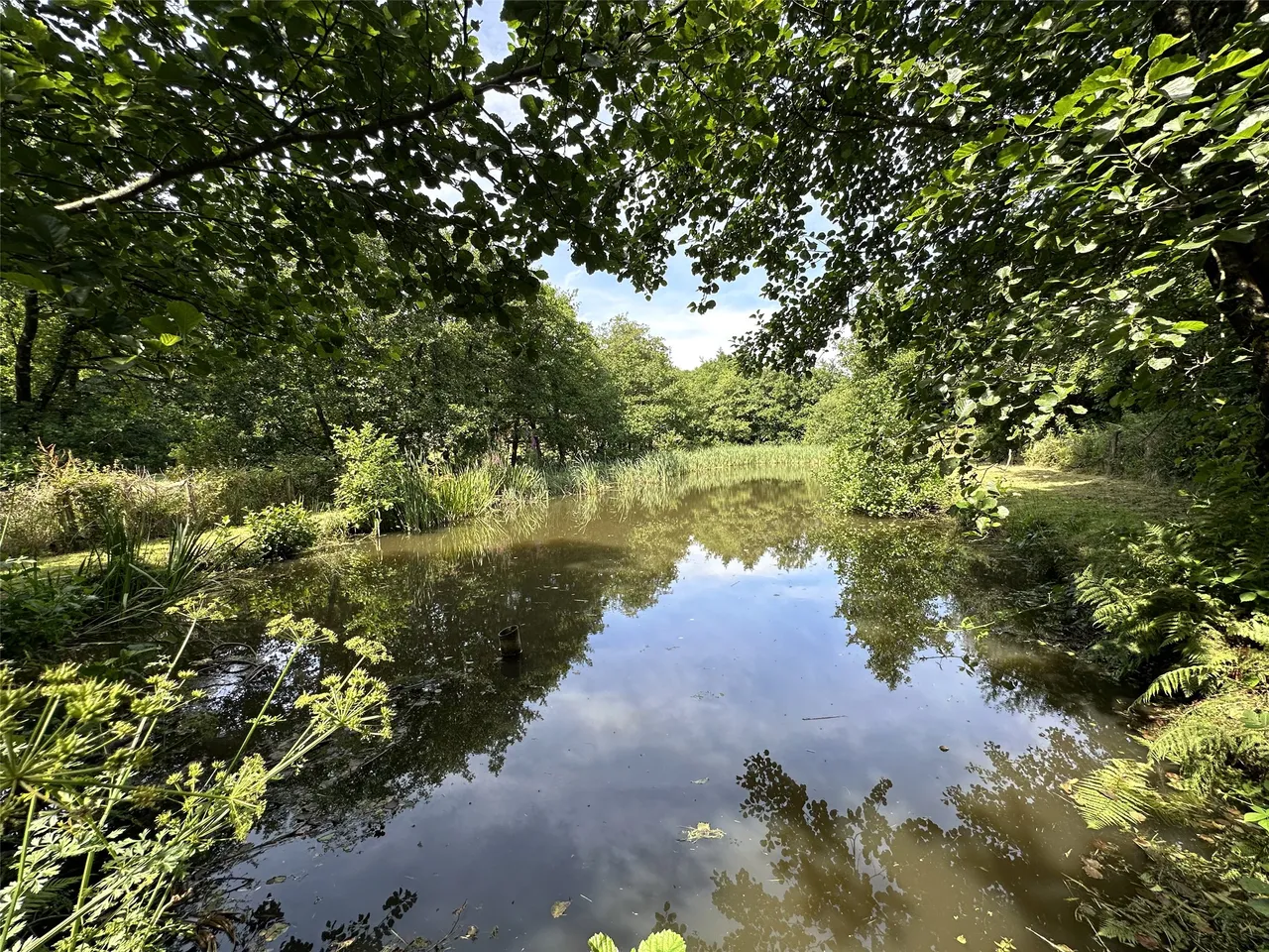 Seven Characterful Cottages & 4.5 Acres, West Down, EX34, photo 61