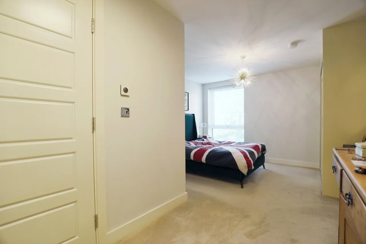 Joseph Terry Grove, York, North Yorkshire, YO23, photo 7