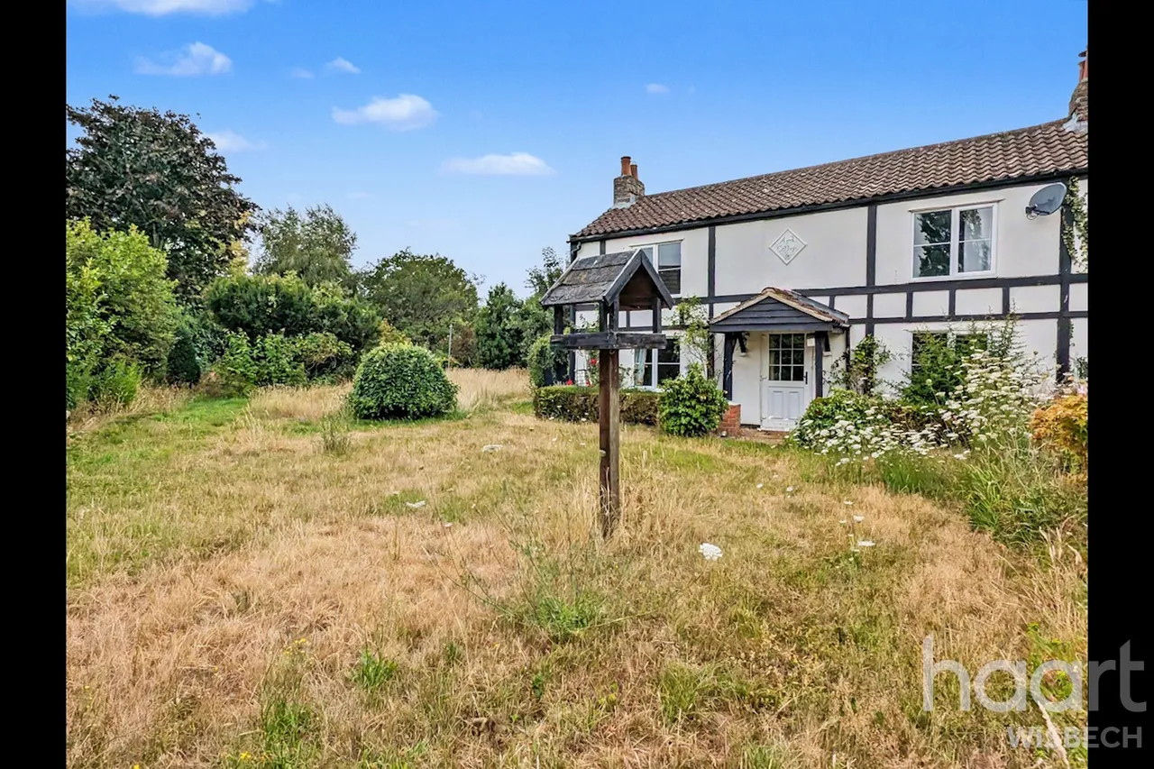 Walnut Road, Walpole St Peter, PE14, photo 22