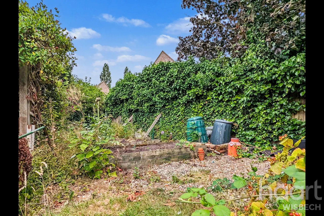 Walnut Road, Walpole St Peter, PE14, photo 24
