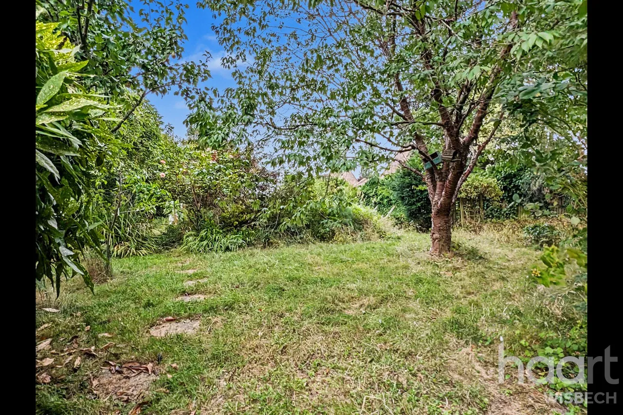 Walnut Road, Walpole St Peter, PE14, photo 23
