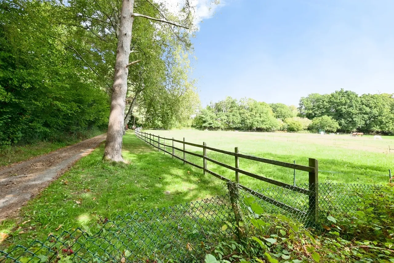 Rogate, Petersfield, GU31, photo 21