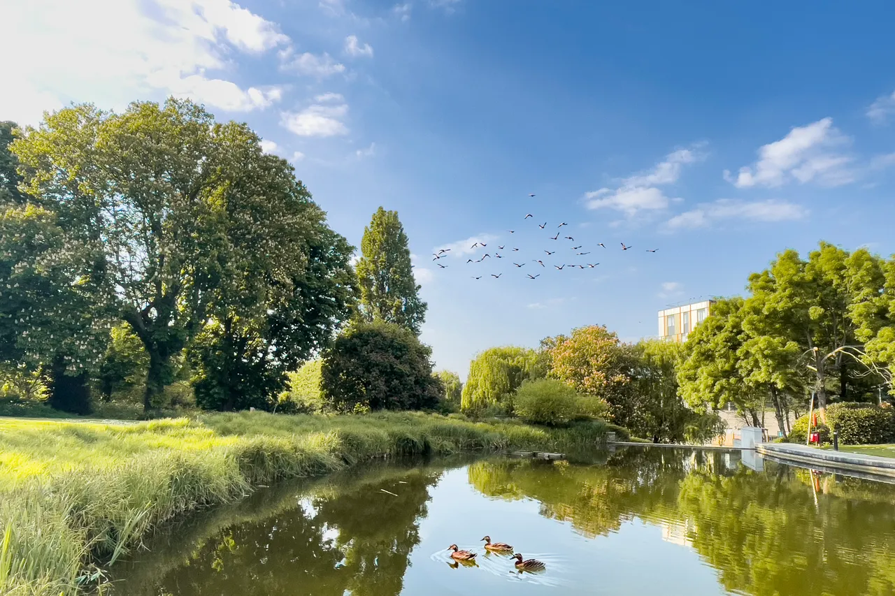 Lakeside Drive, Park Royal, NW10, photo 16