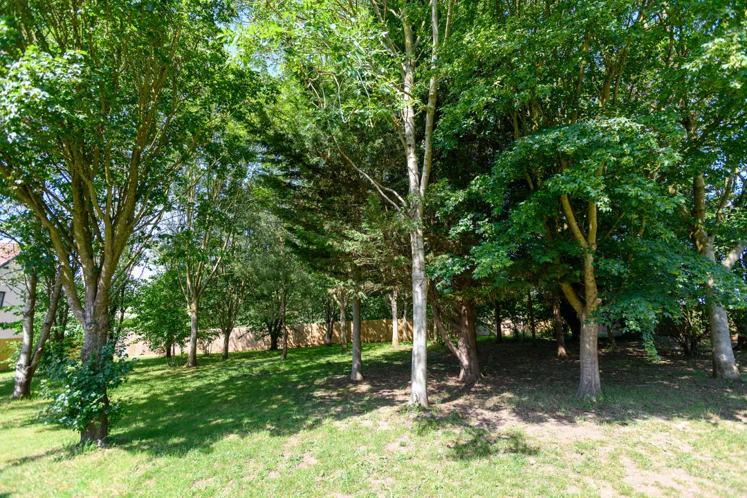 Pipers Farm, Ashcott, photo 20