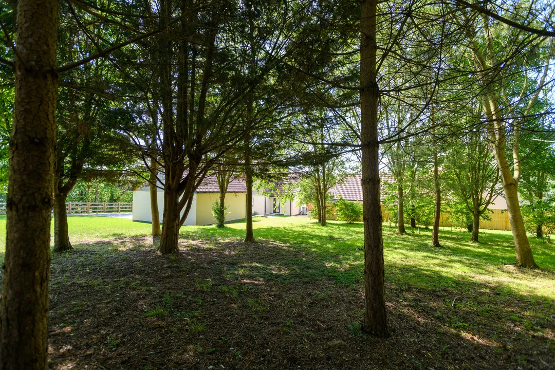 Pipers Farm, Ashcott, photo 22