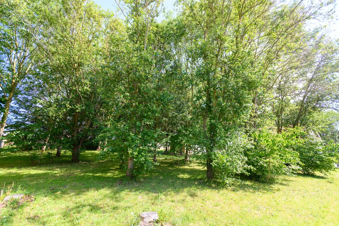 Pipers Farm, Ashcott, photo 21