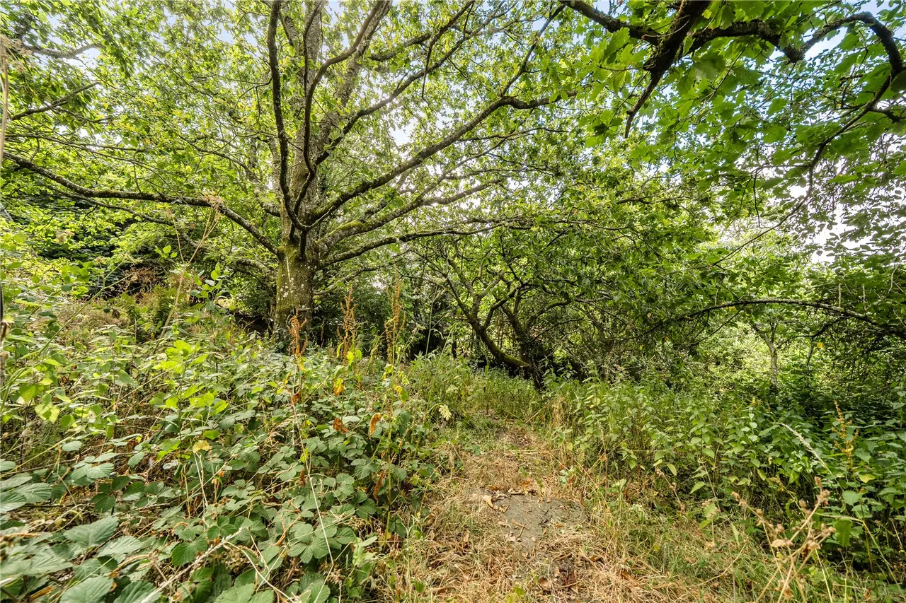 Evenjobb, Presteigne, Powys, LD8 2SF, photo 27