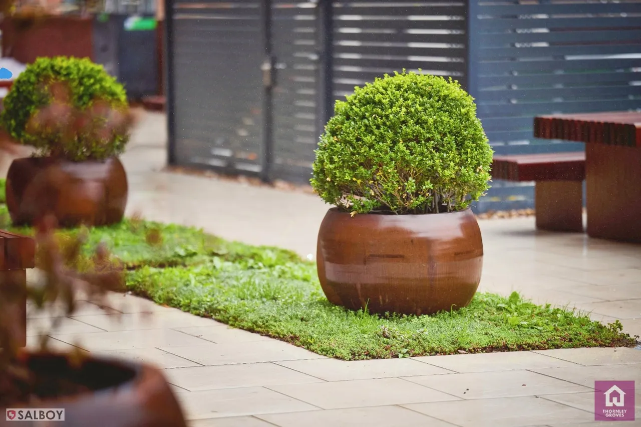 Waterhouse Gardens, Greengate, M3, photo 30