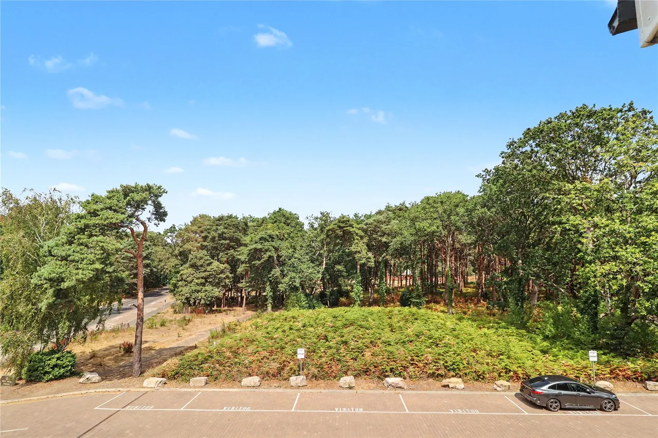 Monument Road, Woking, GU21, photo 6